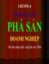 Pháp luật về phá sản doanh nghiệp 