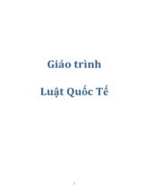 Pháp luật quốc tế 