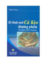 Kỹ thuật nuôi cá kèo thương phẩm (Pseudapocryptes Elongatus) 